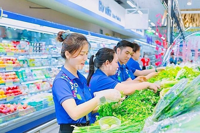 Siêu Thị Tuyển Gấp Việc Làm Lao Động Ưu Tiên Trung Tuổi Đi Làm Ngay 