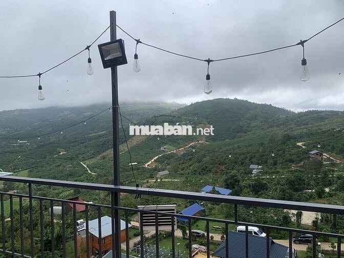 Booking Đợt 1 - Giá F0 - 1,95 tỷ/ Lô 1000m2 - Cách Cao Tốc 8p