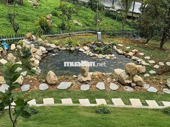 Booking Đợt 1 - Giá F0 - 1,95 tỷ/ Lô 1000m2 - Cách Cao Tốc 8p