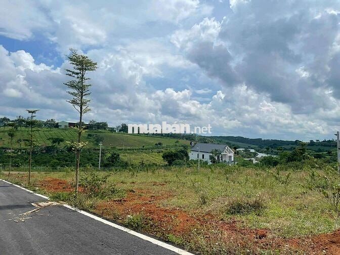 🌿 BÁN ĐẤT VIEW HỒ NGỌC – LỘC TÂN, BẢO LỘC 🌿