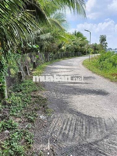 9 Chủ Cần BÁN ĐẤT Mặt Tiền Sổ 2 - 1500m 100thổ cư -20met mặt Tiề