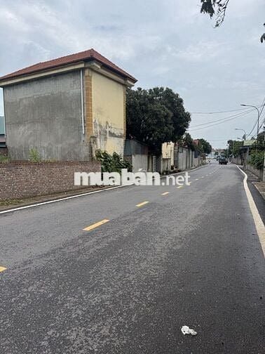 Bán đất Mai Đình - 100m2 - Phân lô ô tô - Sổ vuông đét - Giá ngon