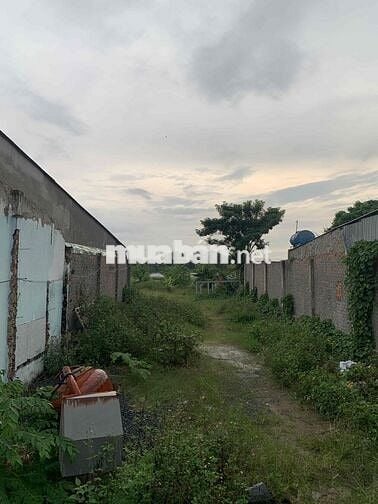 🔥 BÁN ĐẤT 210M² – MẶT TIỀN RỘNG 8.5M – PHẠM THỊ GIÂY, THỚI TAM THÔN –