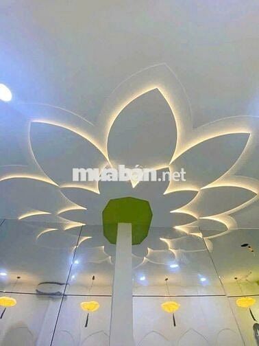 Cho Thuê Nhà Đường Cách Mạng Tháng 8, Tân Bình - KD Tự Do - Trệt Suốt