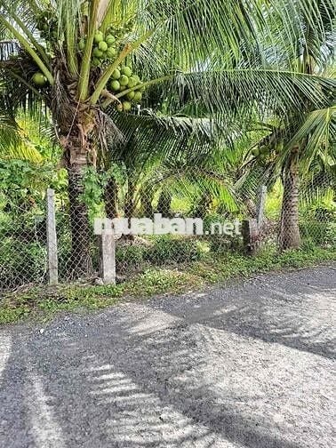 9 Chủ Cần BÁN ĐẤT Mặt Tiền Sổ 2 - 1500m 100thổ cư -20met mặt Tiề