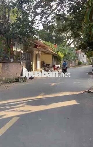 Bán 1500m2 Đất Mặt Tiền Kinh Doanh