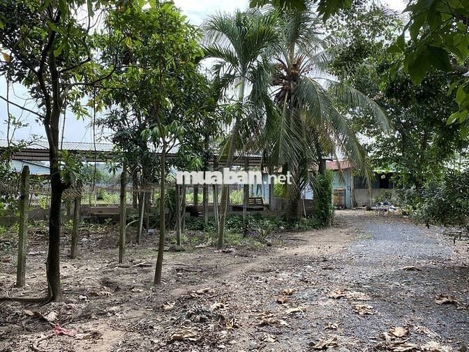 Bán 5009 m2 đất Ấp Rừng Dầu, xã Đức Lập, Tỉnh Tây Ninh