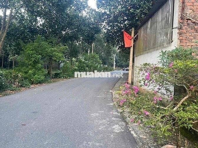 Bán 1500m2 Đất Mặt Tiền Kinh Doanh