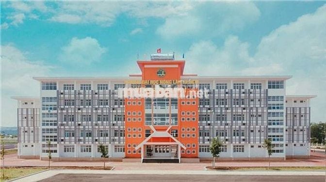 Bán gấp 190m² (50m² thổ cư) – Đường Trần Can, Diên Phú Gia Lai