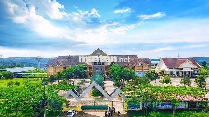 Bán gấp 190m² (50m² thổ cư) – Đường Trần Can, Diên Phú Gia Lai