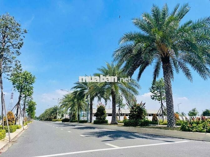 Đất SHR 90m2 gần ngay mặt tiền đường Nguyễn Hữu Trí, giá rẻ