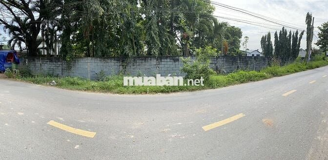 Bán 5009 m2 đất Ấp Rừng Dầu, xã Đức Lập, Tỉnh Tây Ninh