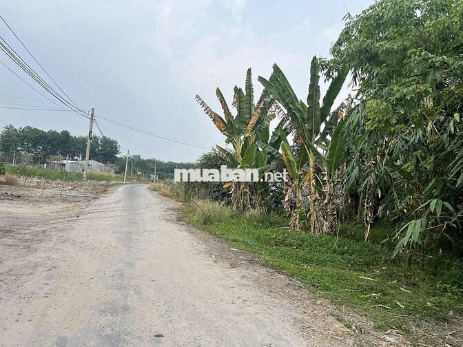 Bán gấp đất 10040m² tại Minh Long, giá 7.35 tỷ, thương lượng nhẹ