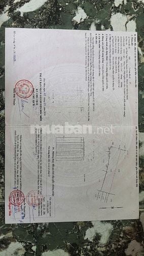Đất thổ, đất vườn phù hợp xây dựng biệt thự tại trung tâm hóc môn