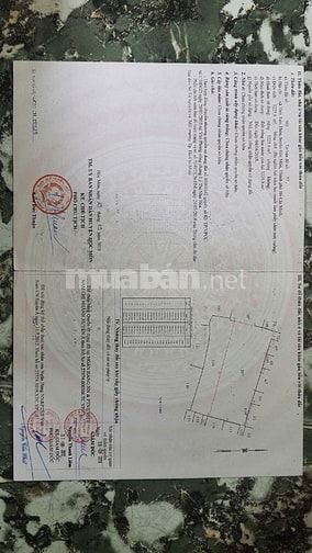 Đất thổ, đất vườn phù hợp xây dựng biệt thự tại trung tâm hóc môn