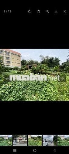 ĐẤT VIP - KHU BIỆT THƯ TRIỆU ĐÔ - NHỊ BÌNH - 200M2 - CHỈ 4.X