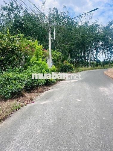 Bán gấp lô đất 6x58m, 100m² thổ cư,ngay KCN Becamex, giá chỉ 610 triệu