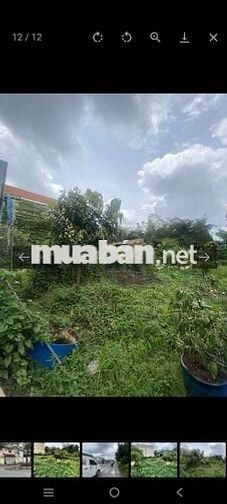 ĐẤT VIP - KHU BIỆT THƯ TRIỆU ĐÔ - NHỊ BÌNH - 200M2 - CHỈ 4.X