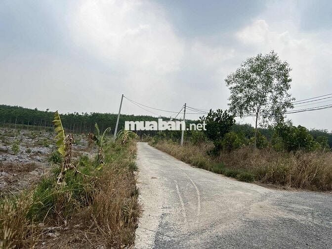 Bán gấp đất 10040m² tại Minh Long, giá 7.35 tỷ, thương lượng nhẹ