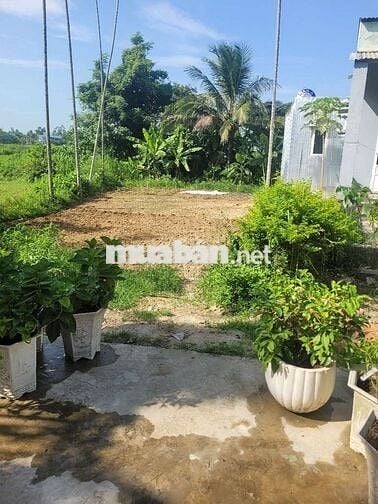 Cần bán lô đất wieu ruộng, cạnh sông