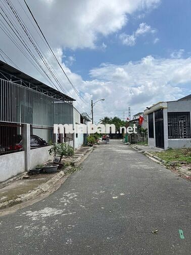 Đất sạch full ODT SHR 50m TC, khu tái định cư Tam Thắng, Phường Phú Mỹ