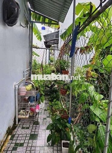 Chủ bán gấp nhà cấp 4,Gần Bùi Thanh Khiết, Tân Túc, Bình Chánh, TP HCM