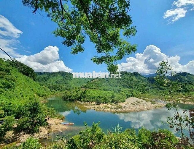 Nhà mặt tiền đường Nguyễn Trãi dt200m2. 10x20m.
