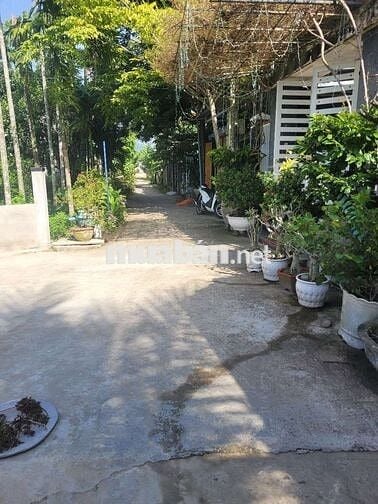 Cần bán lô đất wieu ruộng, cạnh sông