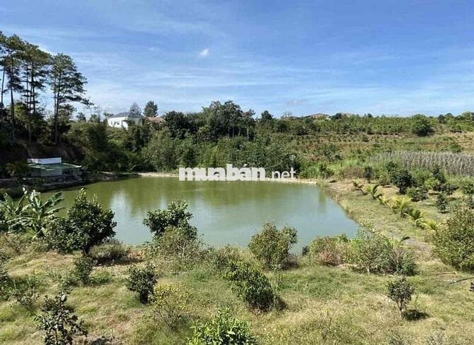Chuyển nơi ở cần bán lỗ gấp lại lô view hồ giá 400tr 1000m2