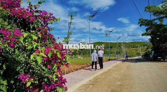 Chuyển nơi ở cần bán lỗ gấp lại lô view hồ giá 400tr 1000m2