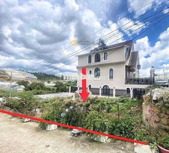 Giảm 1 Tỷ Đất Xây Villa Nghỉ Dưỡng Phường Langbiang Đà Lạt 6,2 Tỷ
