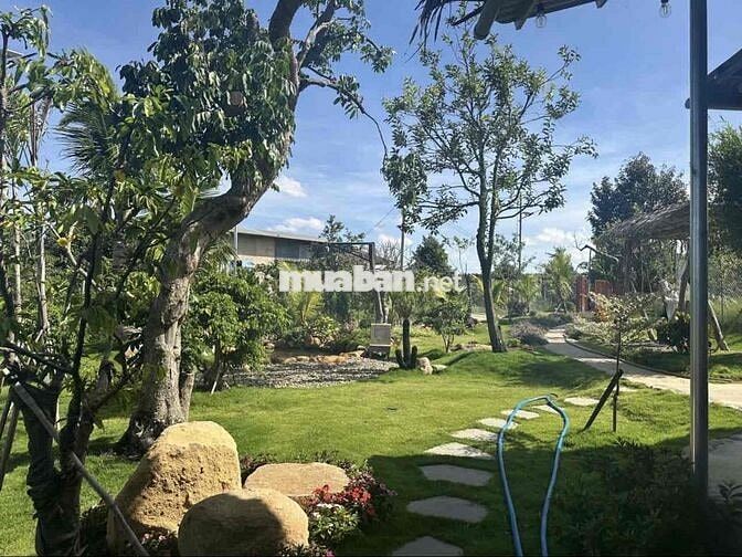 Chuyển nơi ở cần bán lỗ gấp lại lô view hồ giá 400tr 1000m2
