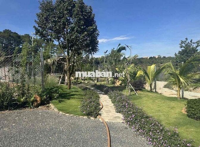 Chuyển nơi ở cần bán lỗ gấp lại lô view hồ giá 400tr 1000m2