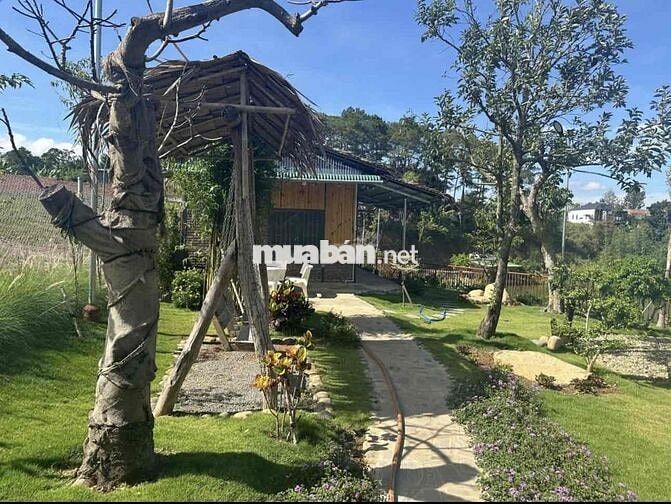 Chuyển nơi ở cần bán lỗ gấp lại lô view hồ giá 400tr 1000m2