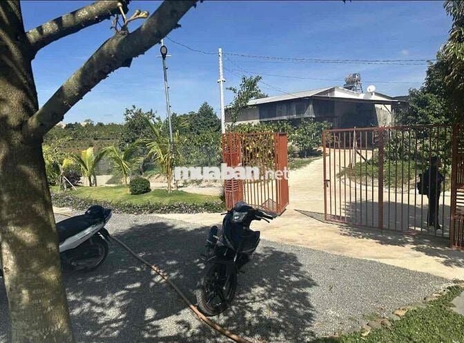 Chuyển nơi ở cần bán lỗ gấp lại lô view hồ giá 400tr 1000m2