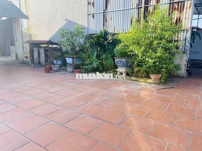 Cắt lỗ 500 triệu -85m2- Mai Đình( Sóc Sơn)-Ô tô đỗ cửa-Sát trục kinh d