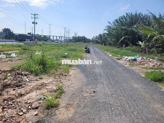 Chính Chủ Bán Đất Nông Nghiệp Tại Xã Long Thới, Nhà Bè, Tp Hồ Chí Minh