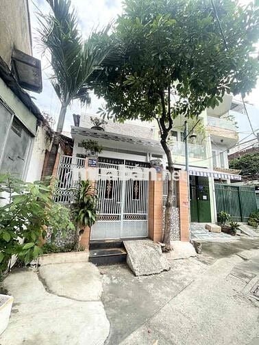 🌹Lạc Long Quân 60m2, Dt: 4.3 x 12, Giá: 8.1 tỷ 🌹Phường 3 - Quận 11 M29