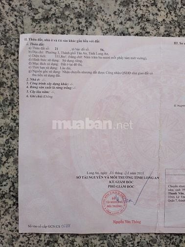 KHÔNG NGƯỜI QUẢN LÝ BÁN GẤP KHU NHÀ TRỌ HUỲNH VĂN ĐẢNH, TÂN AN 