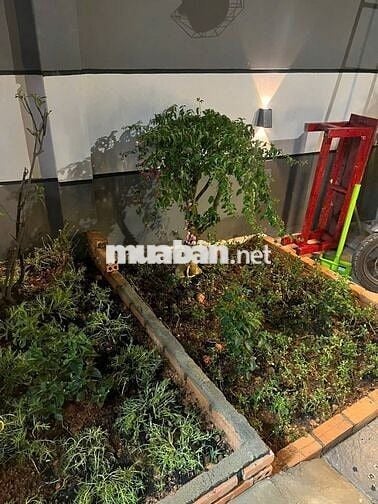 🏡 Bán villa phường 5 cách Hồ Xuân Hương 1km