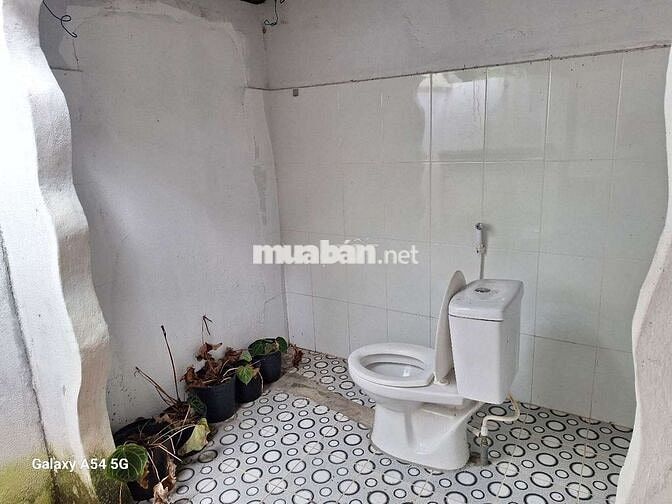 Nhà vườn thiết kế kiểu homstay DTSD:160M² 1PN ĐĐTN BẾP 100% NHƯ HÌNH