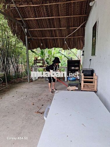 Nhà vườn thiết kế kiểu homstay DTSD:160M² 1PN ĐĐTN BẾP 100% NHƯ HÌNH