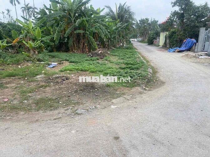Bán gấp lô góc mặt đường Trần Bá Lương - Tiểu Trà - Hưng Đạo - Dương K