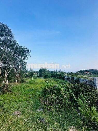 🌊 ĐẤT LÊ MINH CÔNG - MẶT TIỀN KHU DU LỊCH  – GIÁ CHỈ 4,8 TRIỆU/M² 🌊