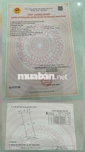 Nhà sổ riêng thổ cư Phường Tân Triều