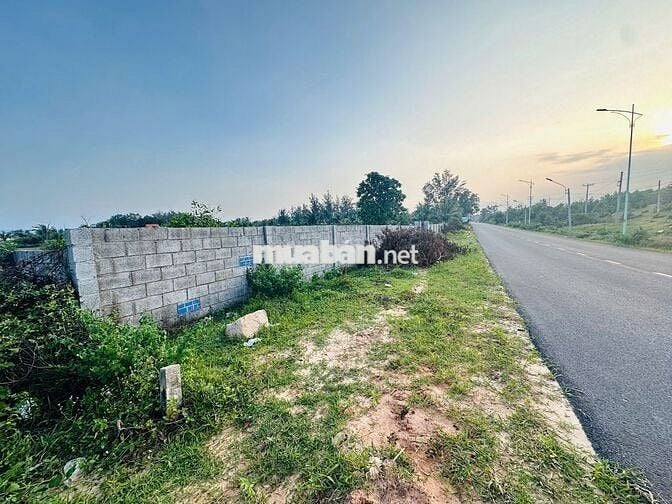 🌊 ĐẤT LÊ MINH CÔNG - MẶT TIỀN KHU DU LỊCH  – GIÁ CHỈ 4,8 TRIỆU/M² 🌊