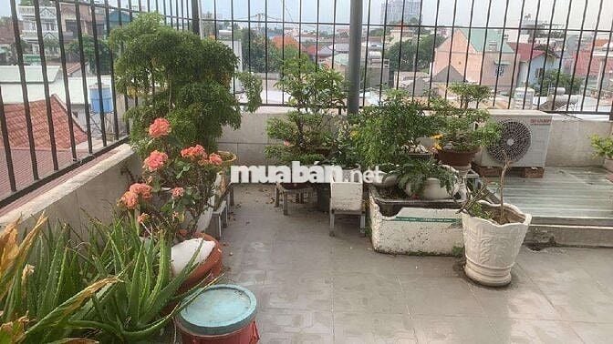 Bán Gấp Nhà 3 Tầng Lê Thị Hoa – HXH, Giáp Chợ Đầu Mối Thủ Đức