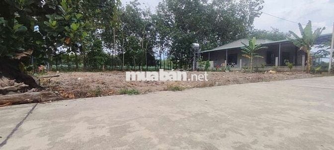 Chú mình nhờ mình đăng bán đất gần khu CN minh hưng 3 cần bán nhanh