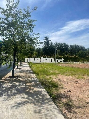 CÓ 1 MẢNH ĐẤT – ĐỂ KHÔNG CÒN PHẢI Ở TRỌ