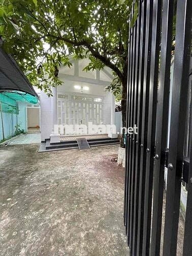 Nhà Vườn 8x20 Sổ Riêng Full Thổ Cư Cách Hương lộ 15 - 300m